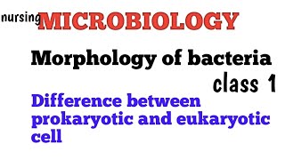 Difference between prokaryotic cell and eukaryotic cell morphology of bacteria introduction nurs [upl. by Kegan]