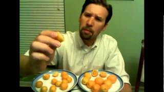 Video 004  Kumquats  December 2012 [upl. by Oznol421]