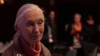 Dr Jane Goodall on Plastic Bags [upl. by Atled701]