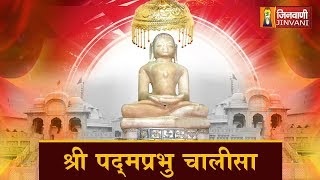 Padamprabhu Chalisa  श्री पदमप्रभु चालीसा  Shri Padamprabhu Chalisa  Jain Chalisa Lyrics [upl. by Nilauqcaj]