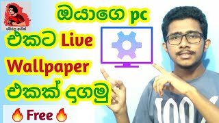 How to setup live wallpapers on your pc  windows live wallpapers  desktop live wallpapers Sinhala [upl. by Magbie255]