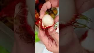 quotRambutan Revelations Exploring the Exotic Fruit’s Flavor and Benefitsquot Rambutan ExoticFruits [upl. by Abraham]