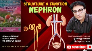 Nephron  Structure amp Function  biology  grade 12  Urdu Hindi English  Federal KPK Mirpur Board [upl. by Leopoldine]