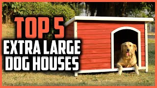 ✅ Top 5 Best Extra Large Dog Houses of 2024 [upl. by Nosmoht705]