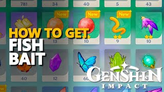 How to get Fish Bait Genshin Impact [upl. by Deerc365]