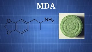 MDA What You Need To Know [upl. by Aviv]