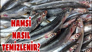 HAMSİ TEMİZLEME 🐟 NASIL TEMİZLENİR VİDEOSU  BALIK AYIKLAMA TEKNİKLERİ  BALIĞI KILÇIKSIZ TEMİZLEME [upl. by Rutan]