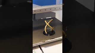 Double Helix Failed 3D Print [upl. by Enaerb]