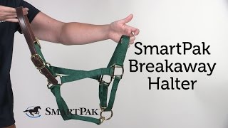 SmartPak Breakaway Halter Review [upl. by Eux]