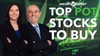 Top Pot Stocks to Buy 3 Medicinal Marijuana Stocks to Rise [upl. by Gainor]