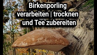 Birkenporling Tee Zubereitung Wie verarbeite ich einen Birkenporling zum nachmachen [upl. by Airlia]