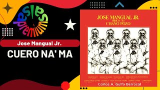 🔥CUERO NA MA por JOSE MANGUAL JR  Salsa Premium [upl. by Enieledam550]