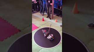 Alpha bots Sumo lego Egypt 2024 legorobotics sumo lego [upl. by Ashlee]