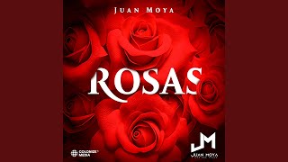 Rosas En Vivo [upl. by Atteras540]