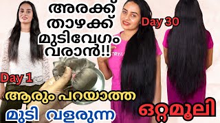 😳ഈ കിഴി മതി‼️മുടി ഉള്ളും നീളവും എളുപ്പം വരാൻ ആയുർവേദ ഒറ്റമുലിGet Fast Hair Thicknessampgrowth hair [upl. by Ttnerb]