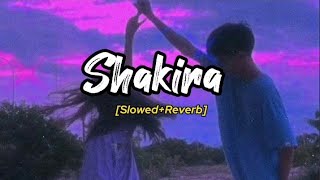 Shakira Slowed  Reverb Welcome 2 Karachi Perfectly Slowed amp Reverb [upl. by Whitehouse]