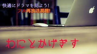 有田哲平主演わにとかげぎす【見逃したドラマも映画も無料で】 [upl. by Nevyar]