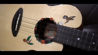 The AnueNue UT200HB Hummingbird Tenor Ukulele [upl. by Gnaig]