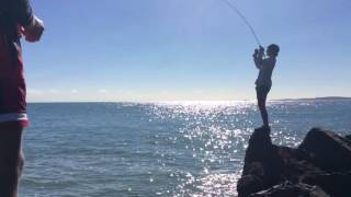 Fishing at Yeppoon harbour with flashers [upl. by Latisha520]