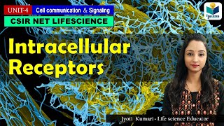 INTRACELLULAR RECEPTORS  LIGAND AND RECEPTORS PART2  TYPE OF RECEPTORS  CSIR NET  GATE [upl. by Bathesda]