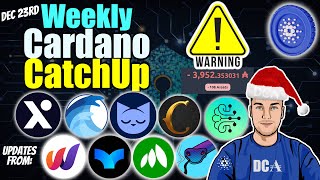 Cardano Updates Launches SCAMs and Important Warnings [upl. by Analla]