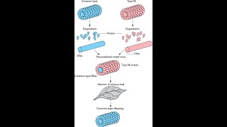 RNA as a Genetic material [upl. by Assiralk]