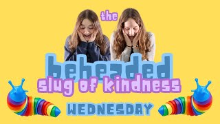 Kindness Week 2024 Wednesday [upl. by Wixted]