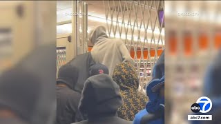 Mob of looters ransack AutoZone in South LA video shows [upl. by Narruc65]