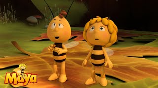 Who Ate the Dropping  Maya the Bee 🐝🍯🐝 [upl. by Uchida]