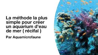 La méthode la plus simple pour créer un aquarium deau de mer  récifal [upl. by Raseac]