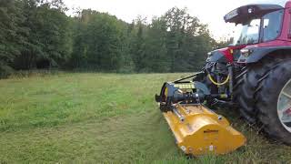 Lintrac 75 Ls Müthing Mulcher [upl. by Olbap299]