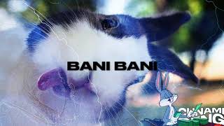 Cunami  Bani Bani [upl. by Elroy]