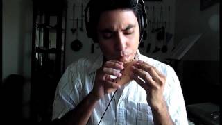 Ocarina of Time Opening Title Theme  Ocarina cover  David Erick Ramos [upl. by Philemon]