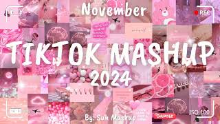 Tiktok Mashup November 💖2024💖 Not Clean [upl. by Baer185]