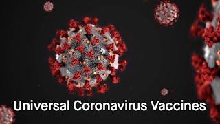 The search for universal vaccines Coronavirus [upl. by Engdahl216]