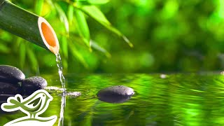 Peaceful Spa Radio 💦 Water Sounds amp Relaxing Music 247 [upl. by Renate435]