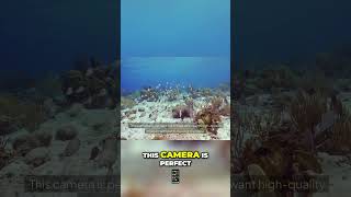 🤩 Top 3 Underwater Cameras for Scuba Diving [upl. by Asimaj]