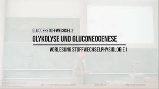 Glykolyse und Gluconeogenese Glukosestoffwechsel 2 [upl. by Namreg372]