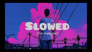 lofi song teri yado mai slowed song viral [upl. by Asirak336]