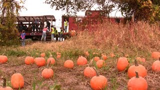 CMRR  Catskill Mountain Railroad  Pumpkin Train Rides  Kingston NY  SAVETHERAILSORG [upl. by Henarat]