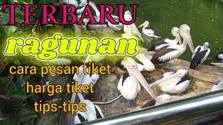 Cara pesan tiket kebun binatang ragunan [upl. by Kaja]