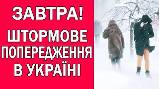 НІХТО НЕ ЧЕКАВ ТАКОГО СНІГОПАДУ  ШТОРМОВЕ ПОПЕРДЖЕННЯ В УКРАЇНІ [upl. by Mian651]