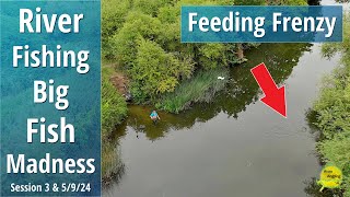 BIG FISH FEEDING FRENZY SMASHING THE SURFACE  River Float Fishing  3 amp 5924 Video 516 [upl. by Anivla773]