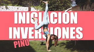 CÓMO HACER EL PINO O HANDSTAND 💛Iniciación Inversiones DÍA 6 [upl. by Arihat]