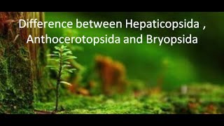 Difference between Liverworts Hornworts and Mosses  For BSc and MSc  By Jyoti Verma [upl. by Haim13]