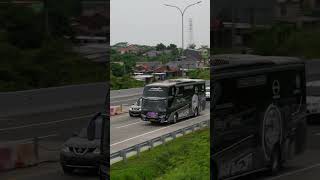 Bus Pariwisata RIZQI TRANS busindonesia indonesianbus bus busholic infobus busmania tourbus [upl. by Nosduh394]