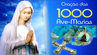 AO VIVO ORAÇÃO DAS MIL AVE MARIAS [upl. by Lamberto]