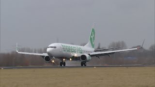 Transavia unveils new look at Schiphol [upl. by Noret153]