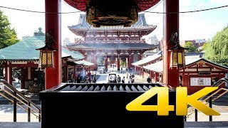 Sensoji Temple Asakusa  Tokyo  浅草寺  4K Ultra HD [upl. by Mot80]