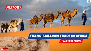 A History of the TransSaharan  Caravan Trade in Africa 🌍 [upl. by Nesta]